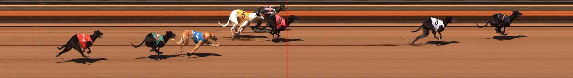 Race result finish photo